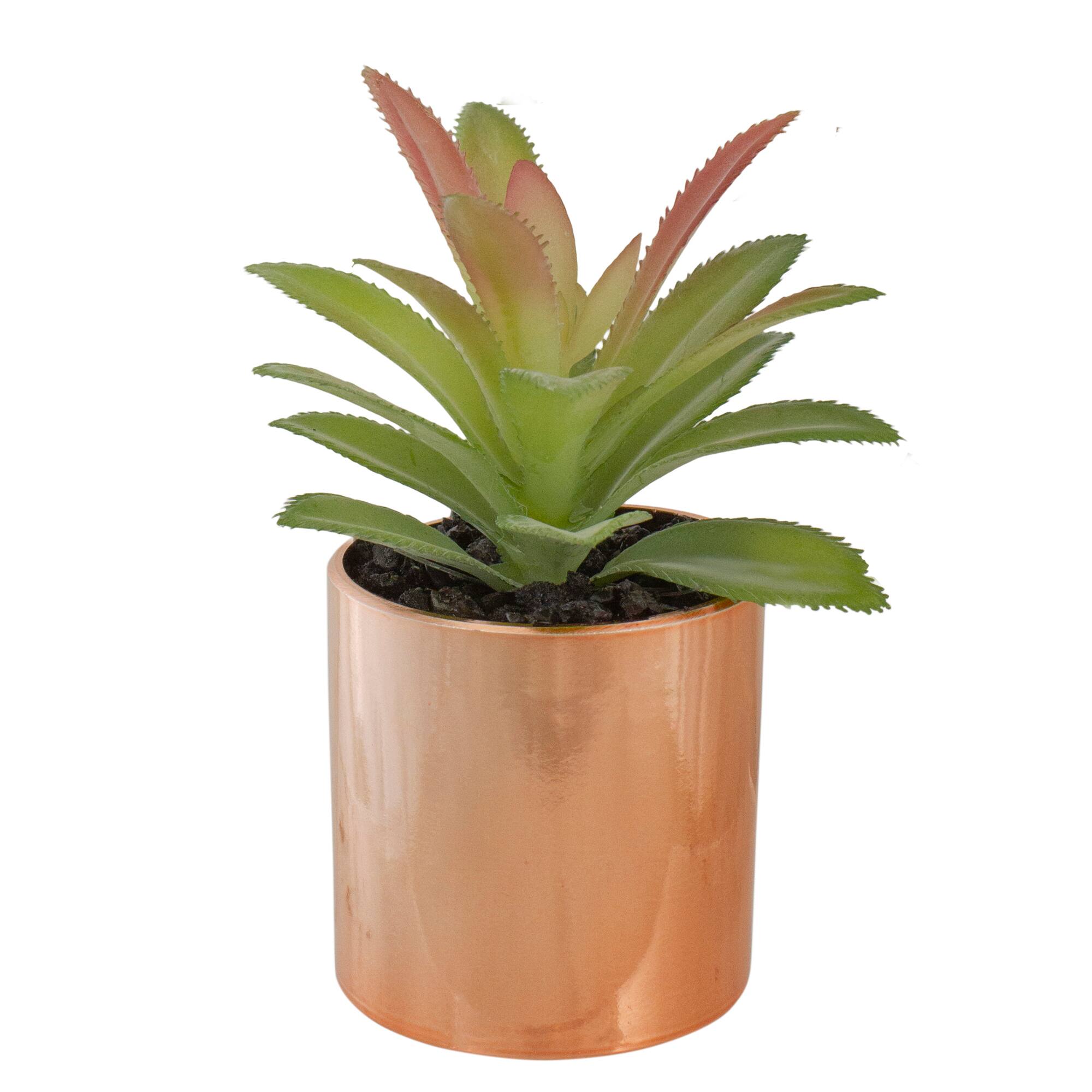 5" Green Aloe Plant in Rose Gold Pot